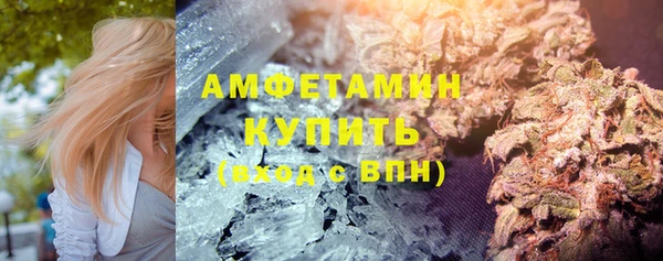 стаф Дмитровск