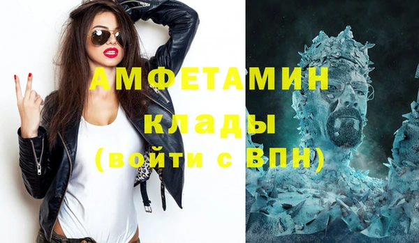 стаф Дмитровск