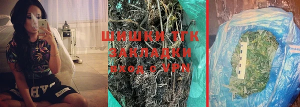 стаф Дмитровск