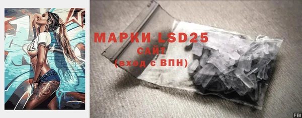 стаф Дмитровск