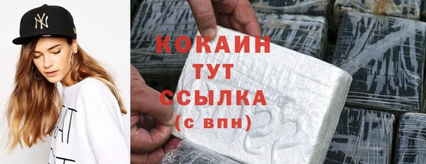 стаф Дмитровск