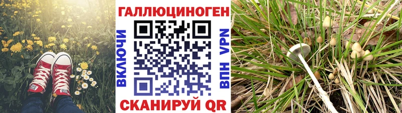 Псилоцибиновые грибы ЛСД  Новоалександровск 
